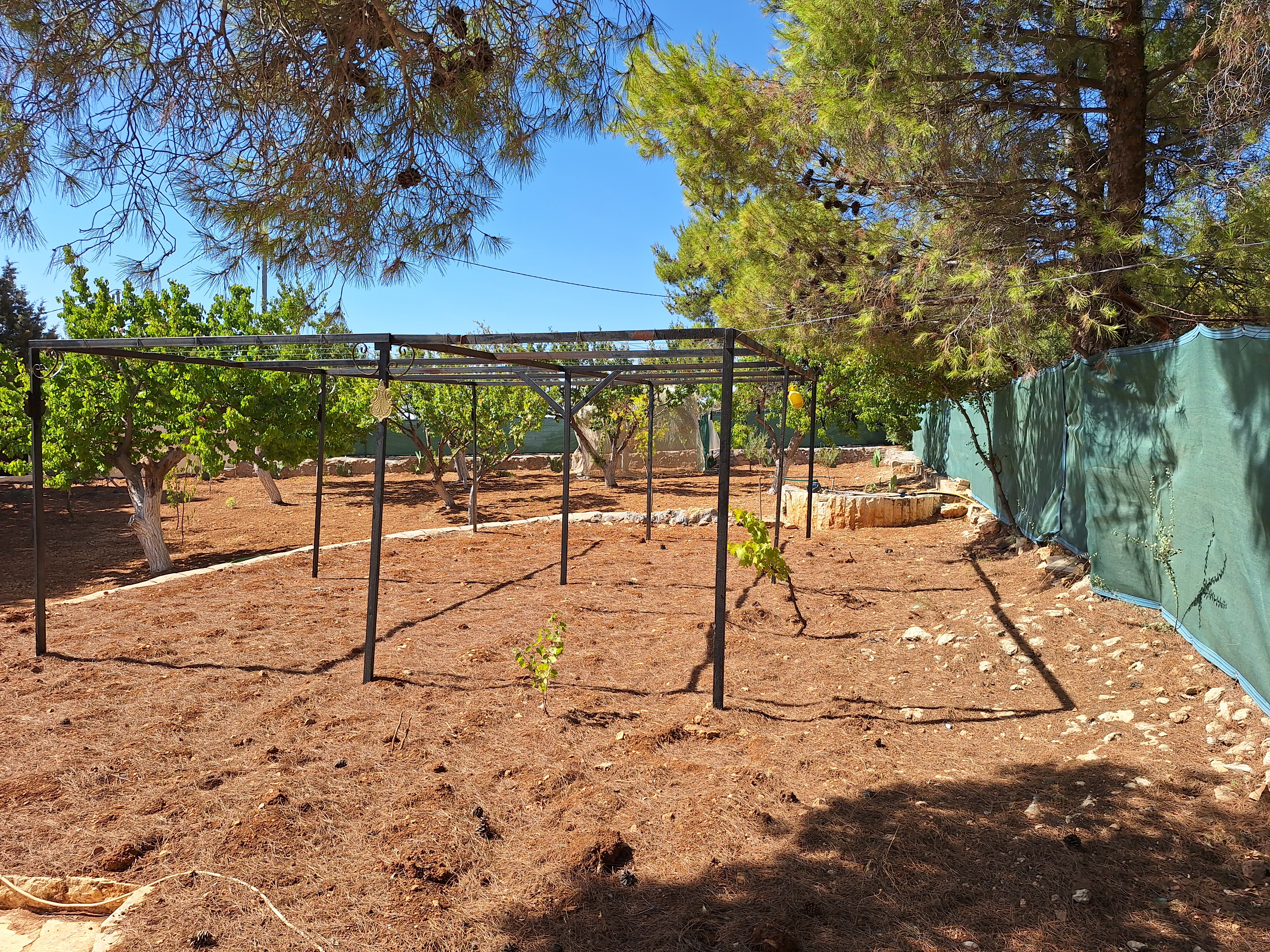 Farm For Sale In the most beautiful areas of Jarash - Property Image 7